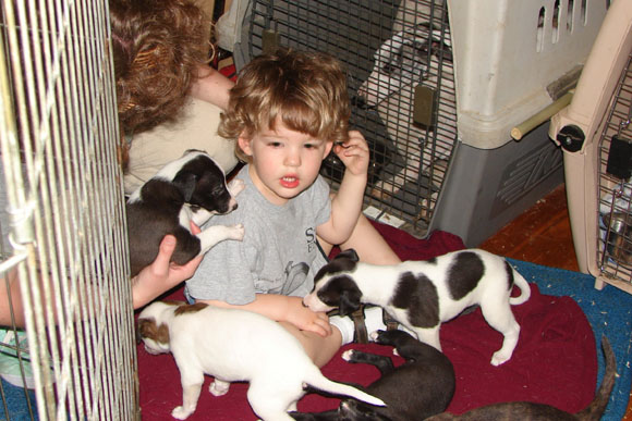 Cute toddler + cute pups = TOO CUTE!