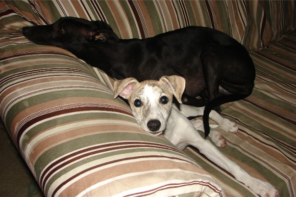 Two adorable little girls!