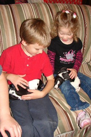 Kids + puppies = LOVE