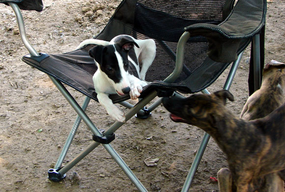 Hey, bro, this chair's mine!